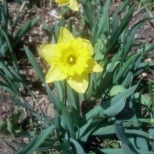 Meet your Posher, Meghan